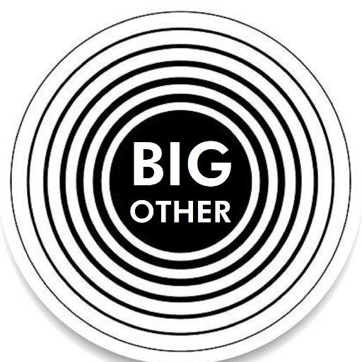Cover of Big Other
