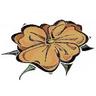 Bloom logo