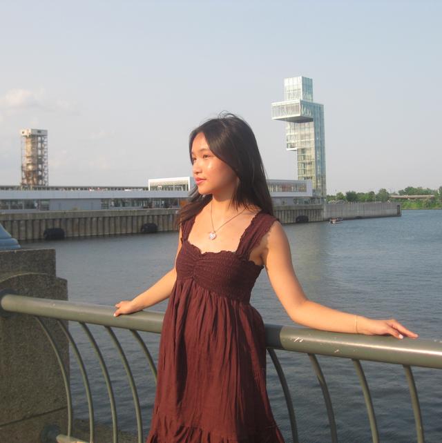 Tien Hoang avatar