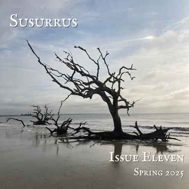 Susurrus latest issue