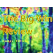 Cover of The Big Windows Review