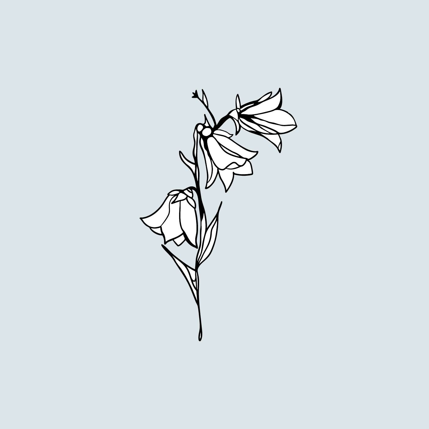 Cover of Wild Hyacinth