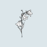 Wild Hyacinth logo