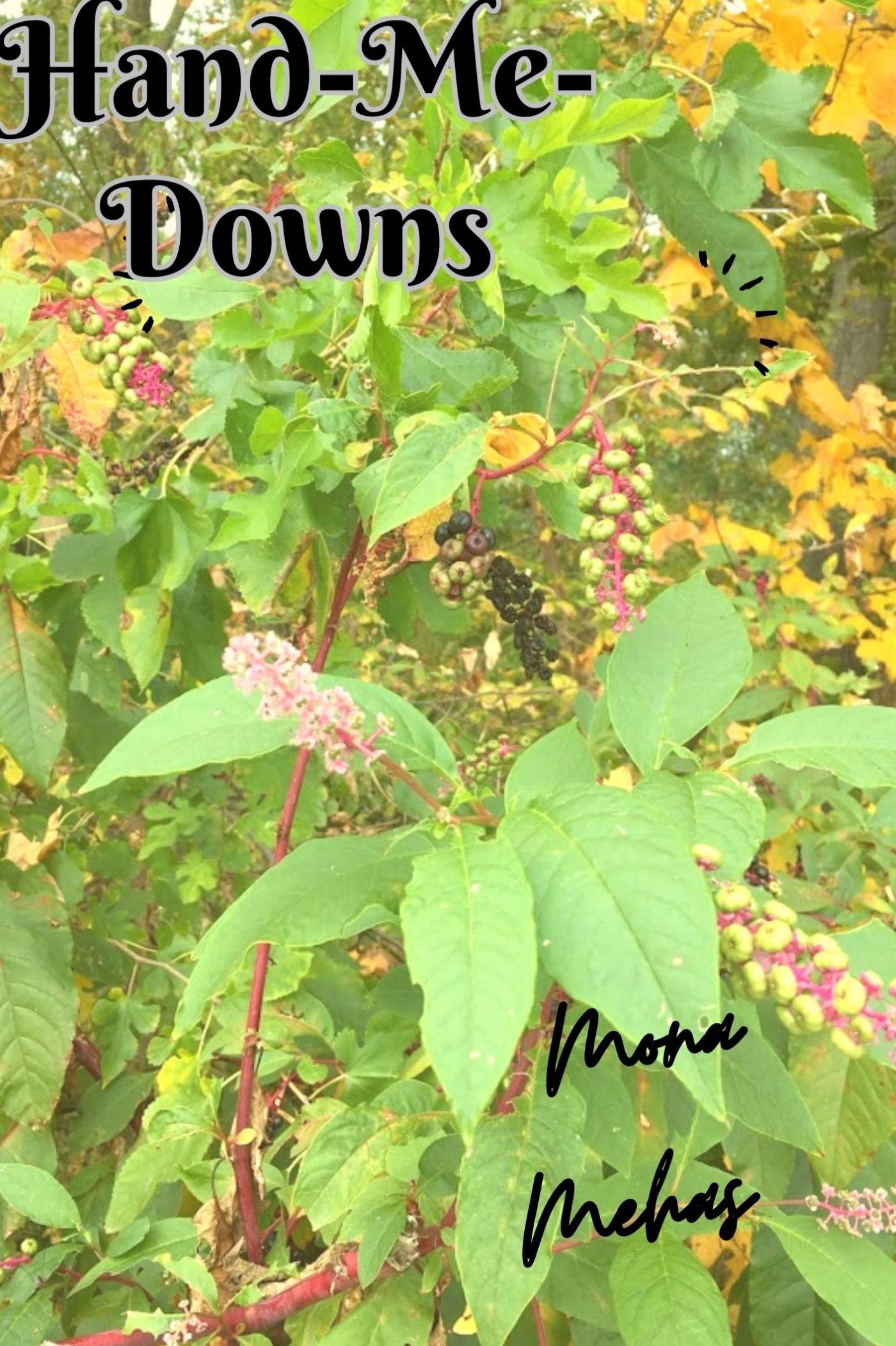 Book cover of Hand-Me-Downs by Mona