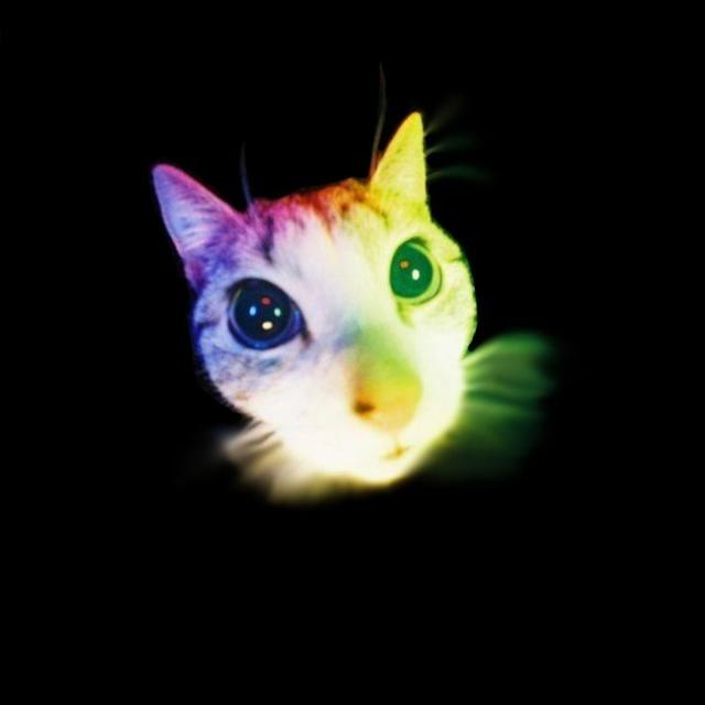 Koda avatar