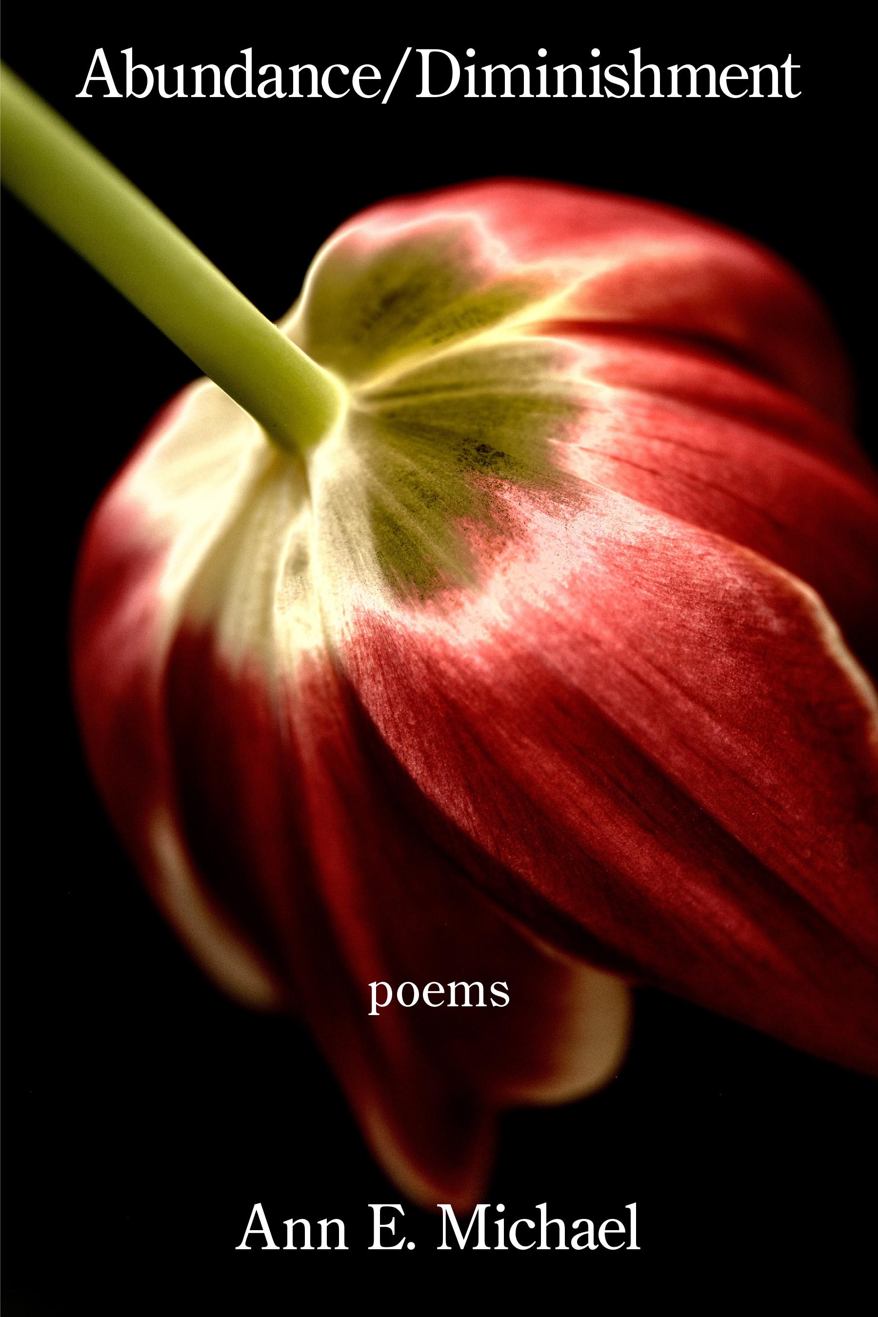 Book cover of Abundance/Diminishment by Ann E. Michael