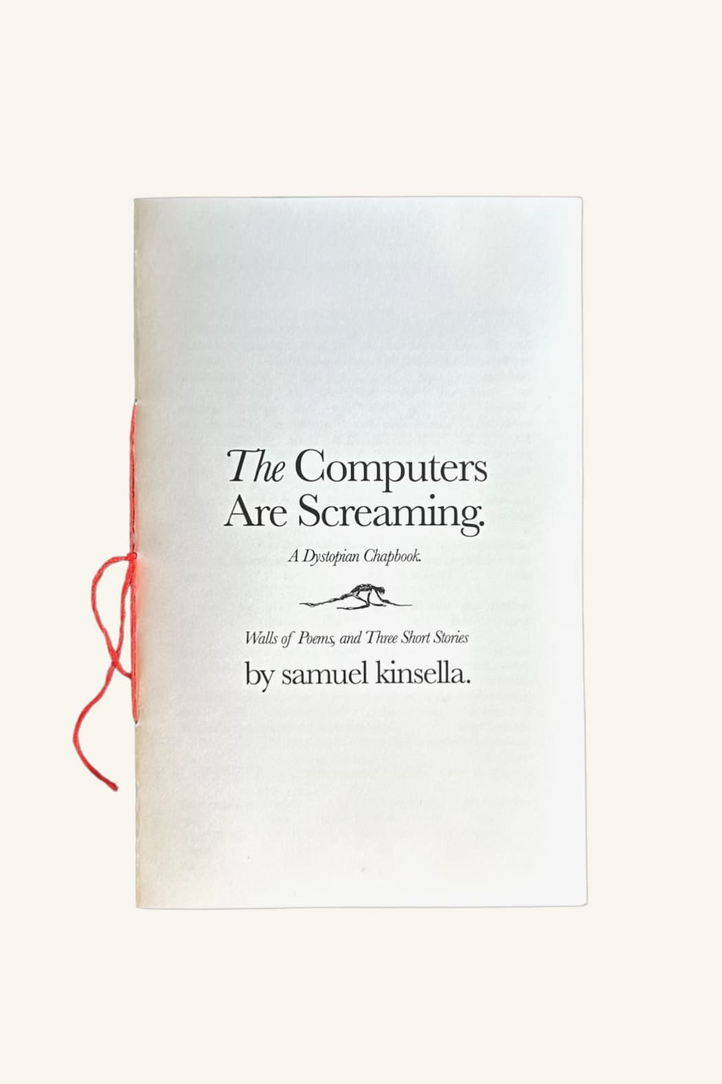 Book cover of The Computers are Screaming. by samuel kinsella