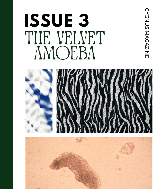 Cygnus Magazine latest issue
