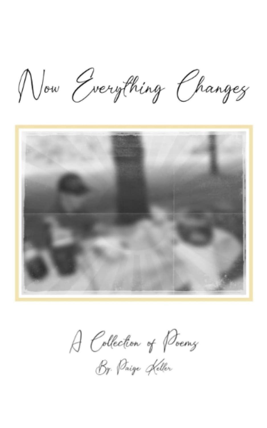 Book cover of Now Everything Changes by Paige Keller