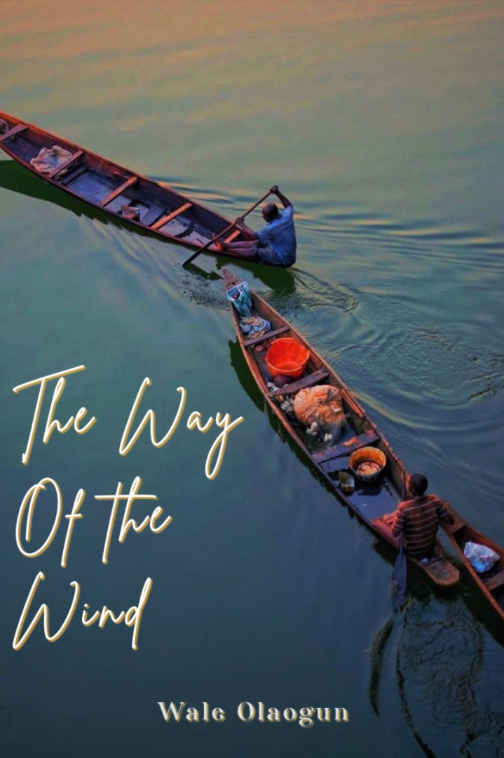 Book cover of The Way of the Wind by Afrihill Press