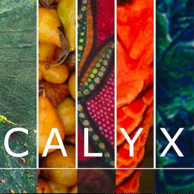 Cover of CALYX Journal