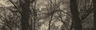 Marrow Magazine logo