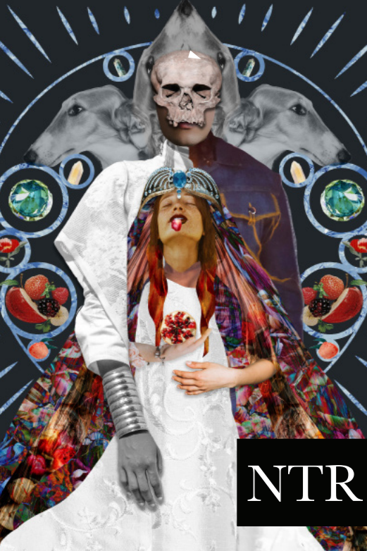 Book cover of North Texas Review Issue 22 by Emilia (Emmi) Tinajero