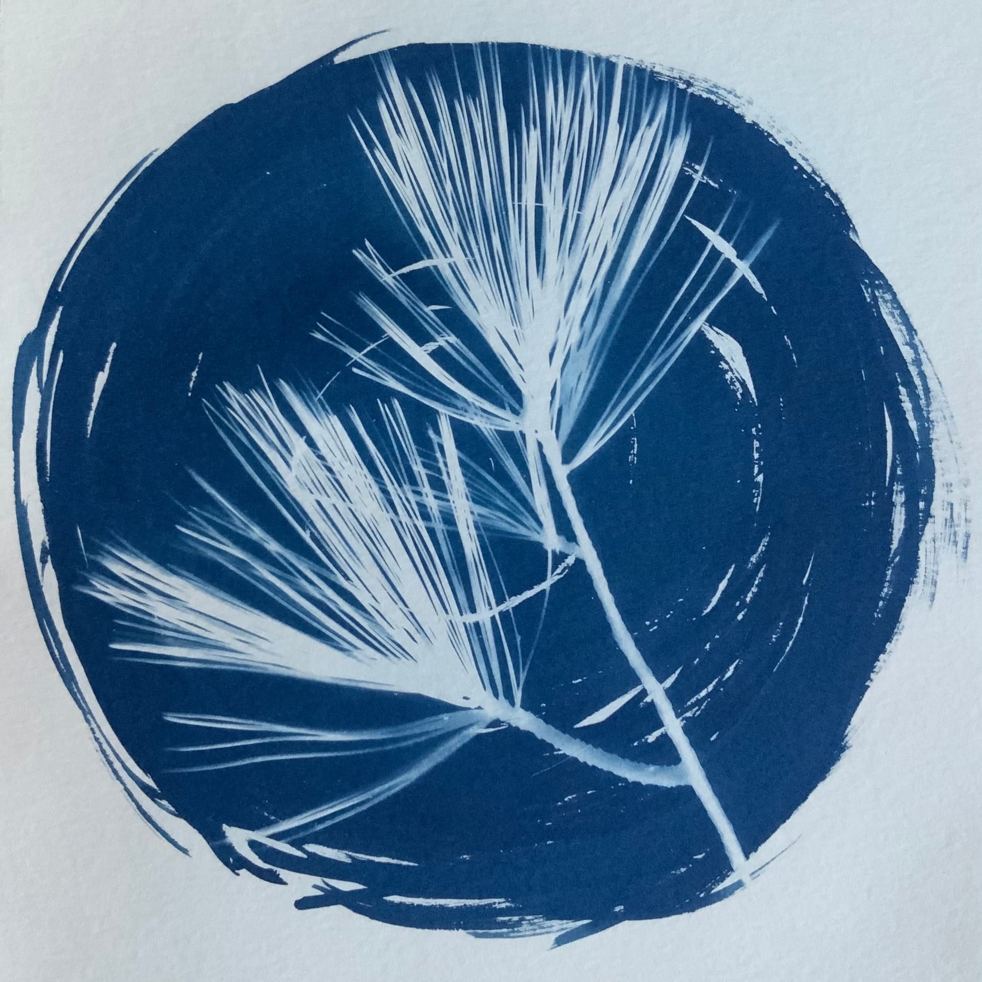 Cover of Flooded Pine Press