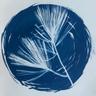 Flooded Pine Press logo