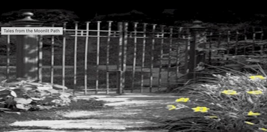 Tales from the Moonlit Path latest issue