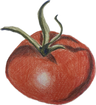 Lunchbreak Review logo