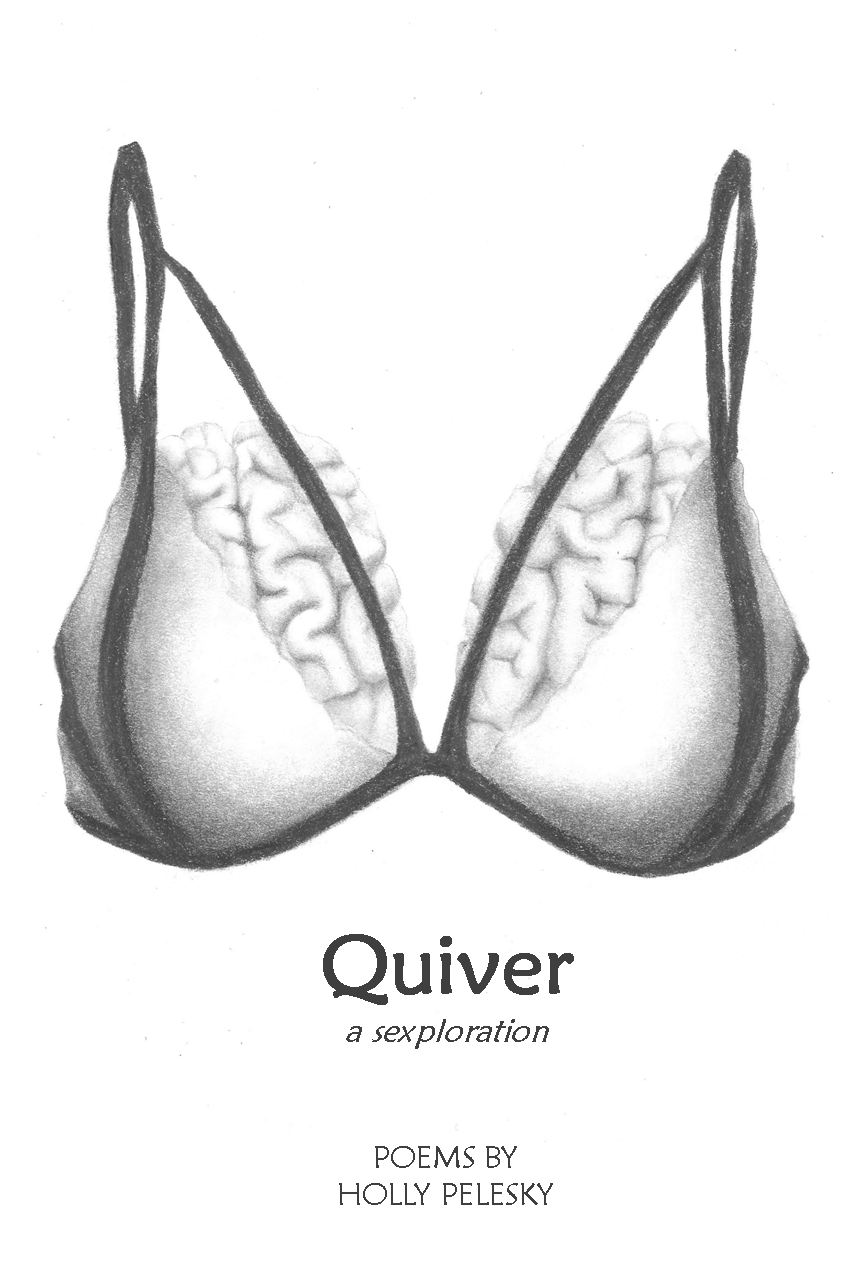 Book cover of Quiver by hollypelesky