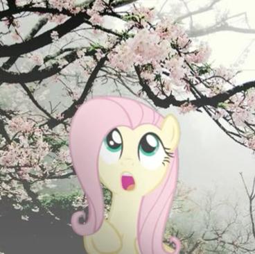 凤怡 avatar