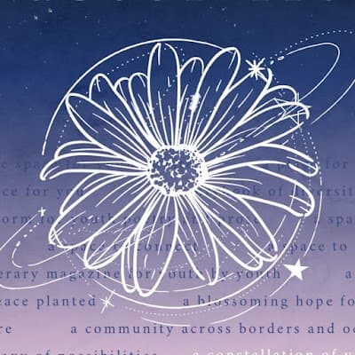 Cover of Aster Lit