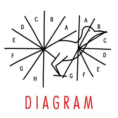 Cover of DIAGRAM