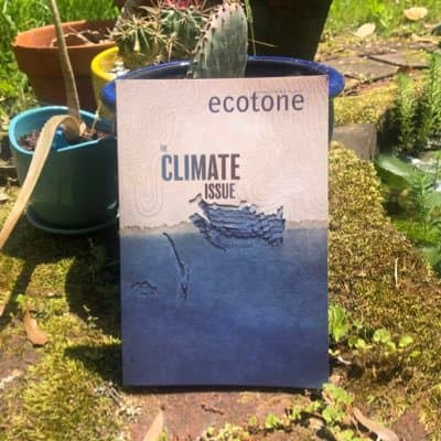 Cover of Ecotone