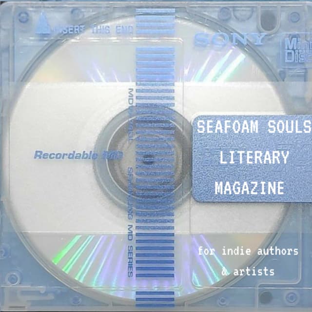 seafoam.souls.literary avatar