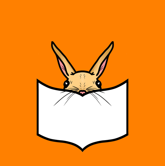 JerboaLit avatar