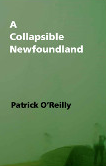 Book cover of A Collapsible Newfoundland by Patrick O'Reilly