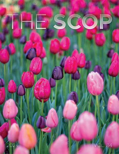 Cover of The Scop