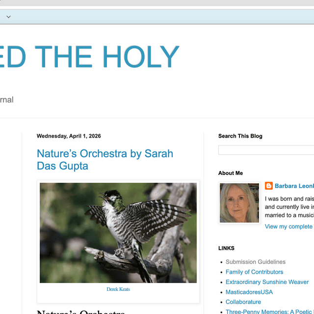 FEED THE HOLY latest issue