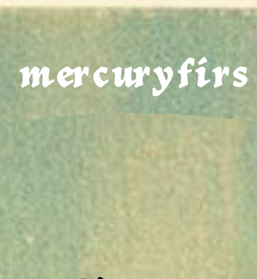 Mercury Firs latest issue