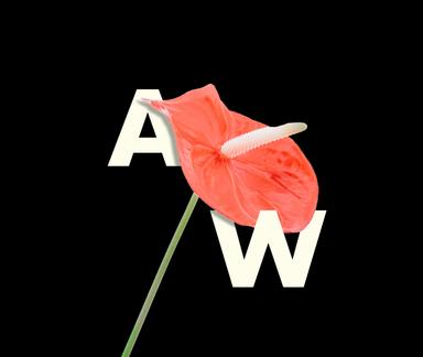 ARTWIFE Magazine latest issue