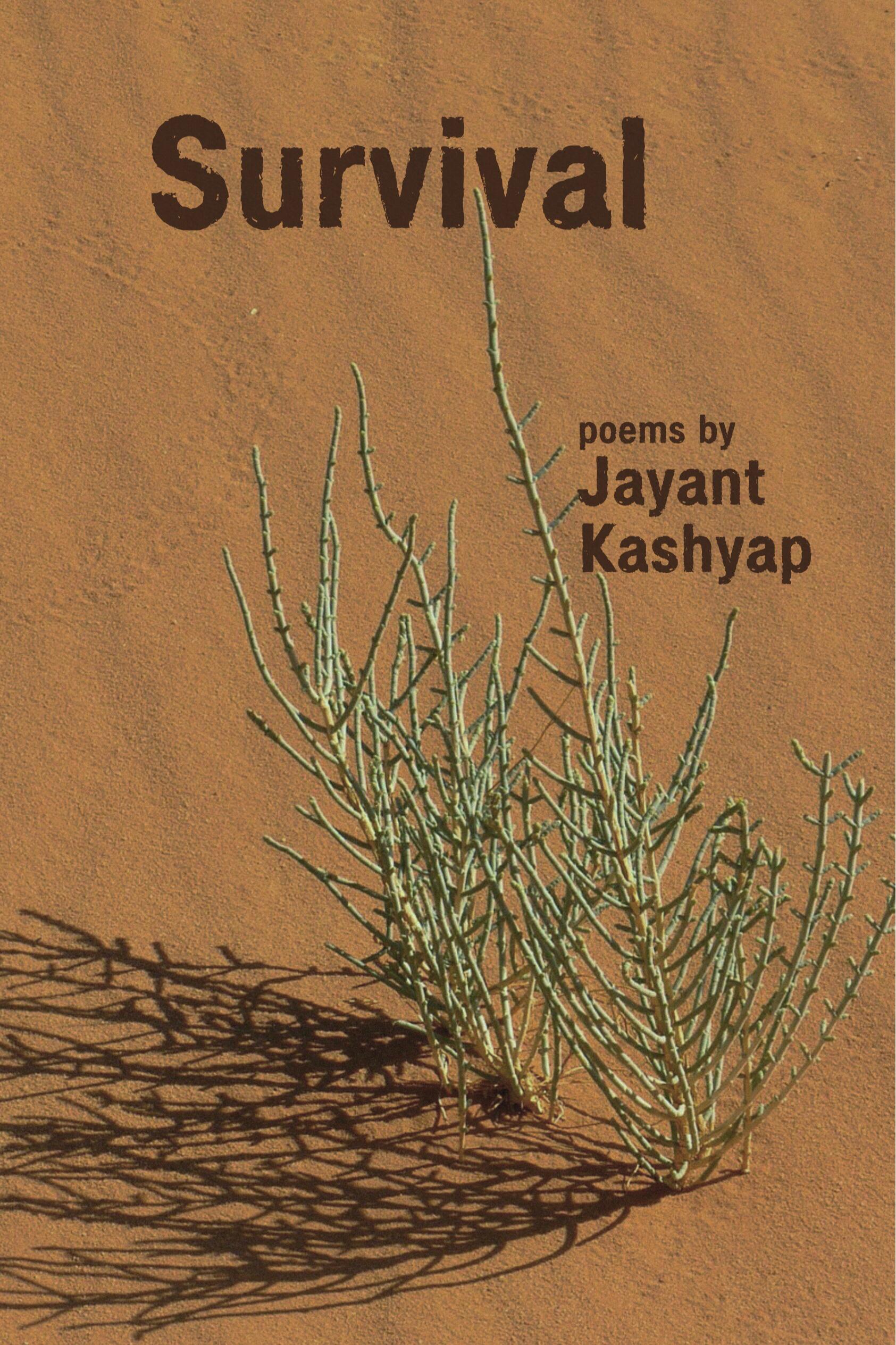 Book cover of Survival by JAYANT KASHYAP