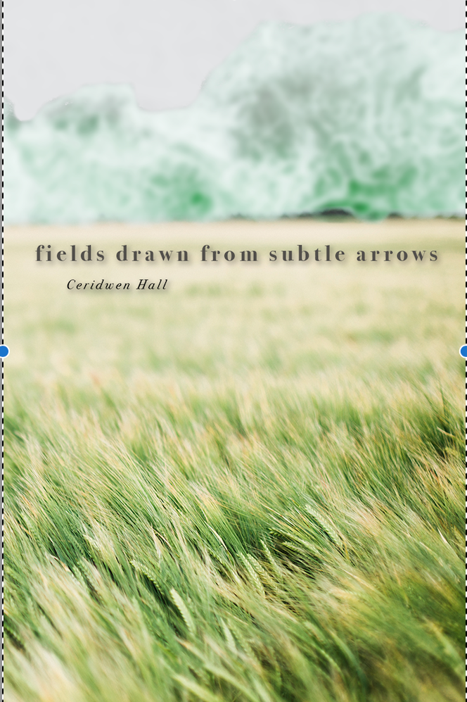 Book cover of fields drawn from subtle arrows by Ceridwen Hall