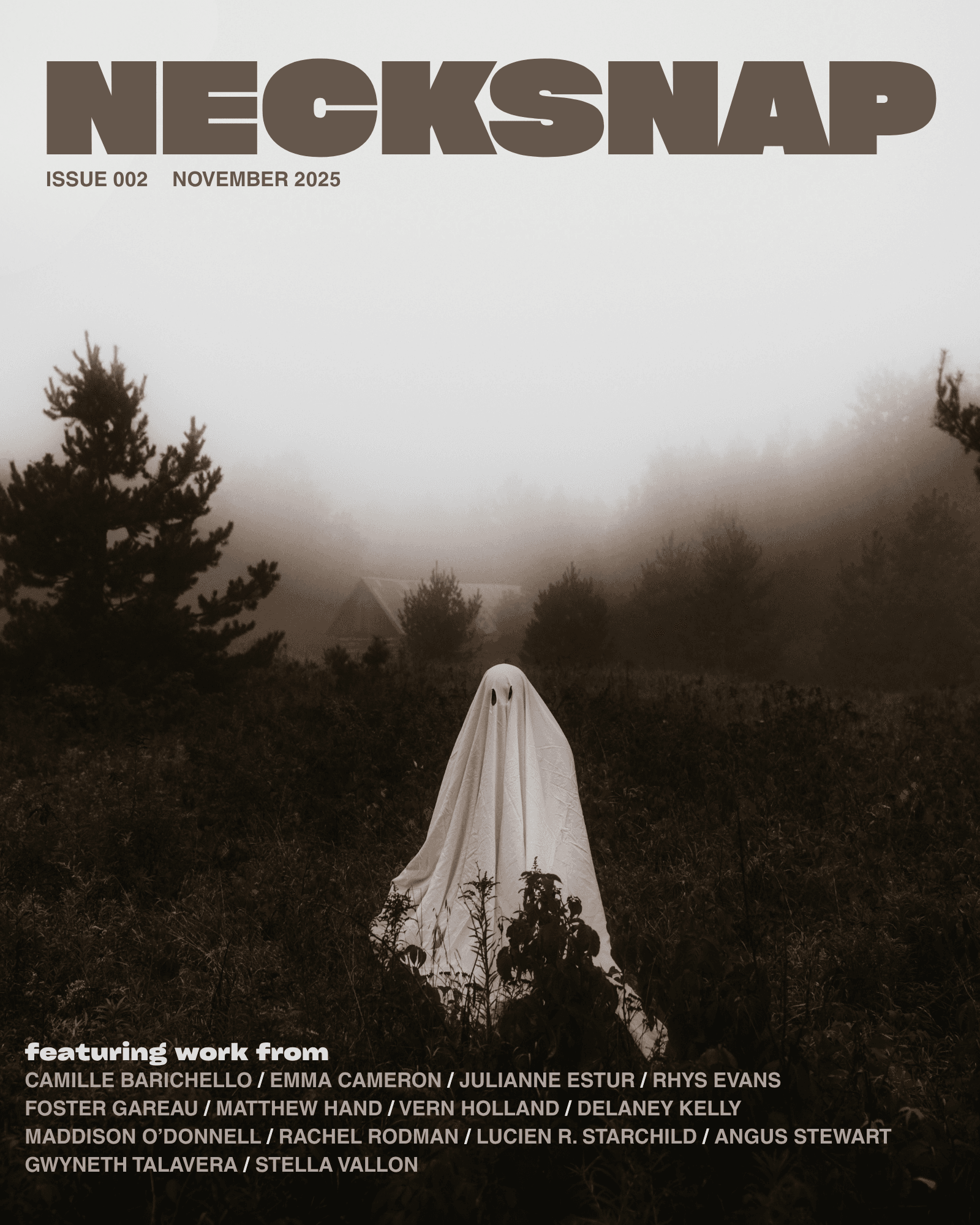 Book cover of Issue Two by NECKSNAP Magazine