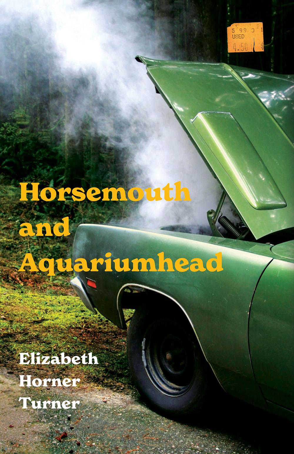Book cover of Horsemouth and Aquariumhead by Elizabeth (Lisa) H. Turner