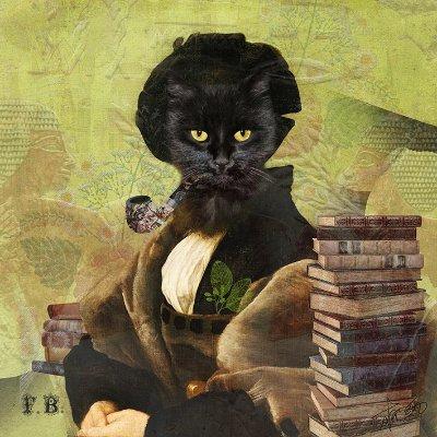 Felix Bodminmoor avatar