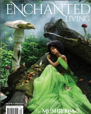Enchanted Living latest issue