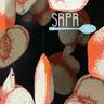 Spoon River Poetry Review (SRPR) logo