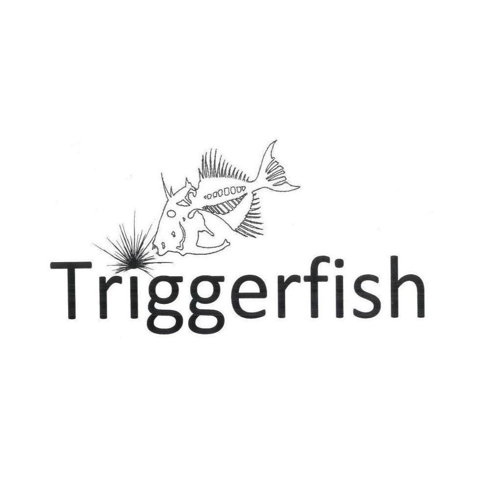 Cover of Triggerfish Critical Review