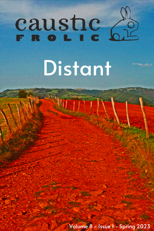 Book cover of Caustic Frolic - Volume 8 - Issue 1 - Spring 2023 by Journal of Experimental Practice