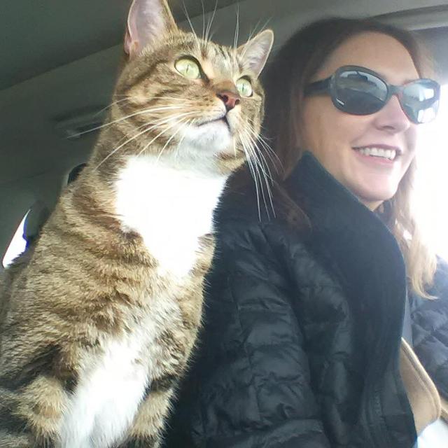 kellykurtzhals avatar