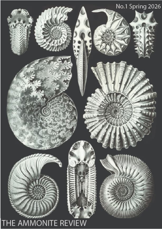 The Ammonite Review latest issue