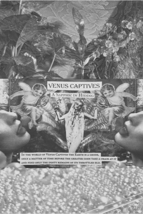 Book cover of Venus Captives: A Sapphic in Hiding by harleyclaes