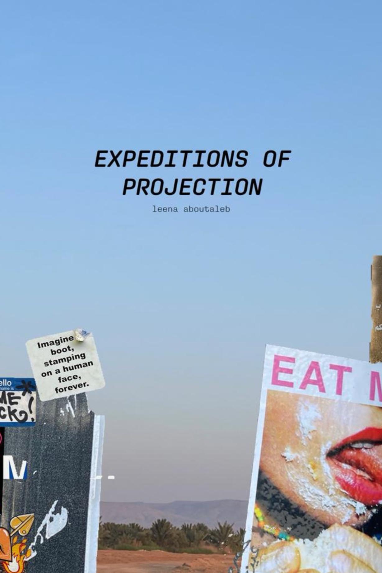 Book cover of Expeditions of Projection by leena aboutaleb