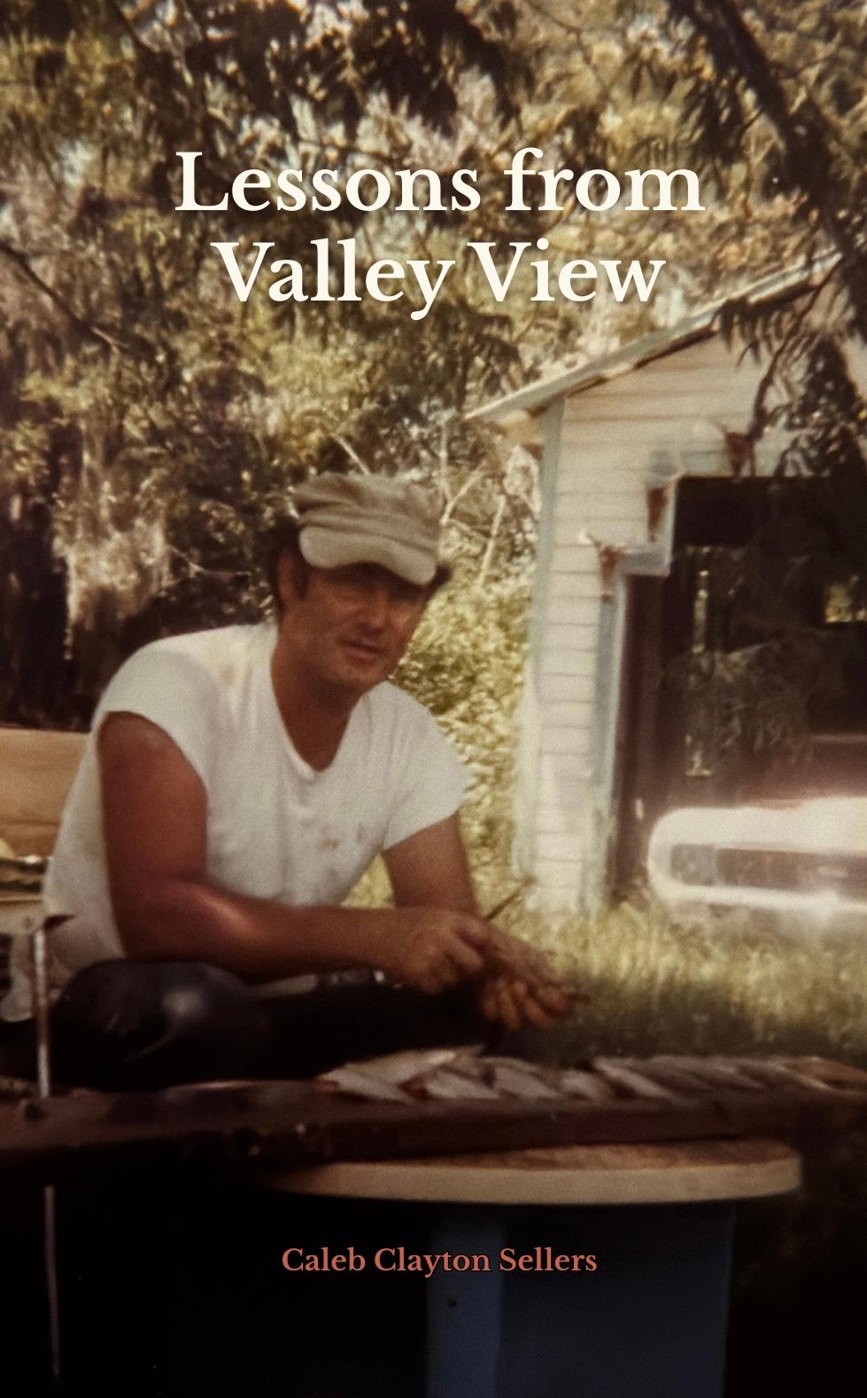 Book cover of Lessons from Valley View by Caleb Clayton Sellers