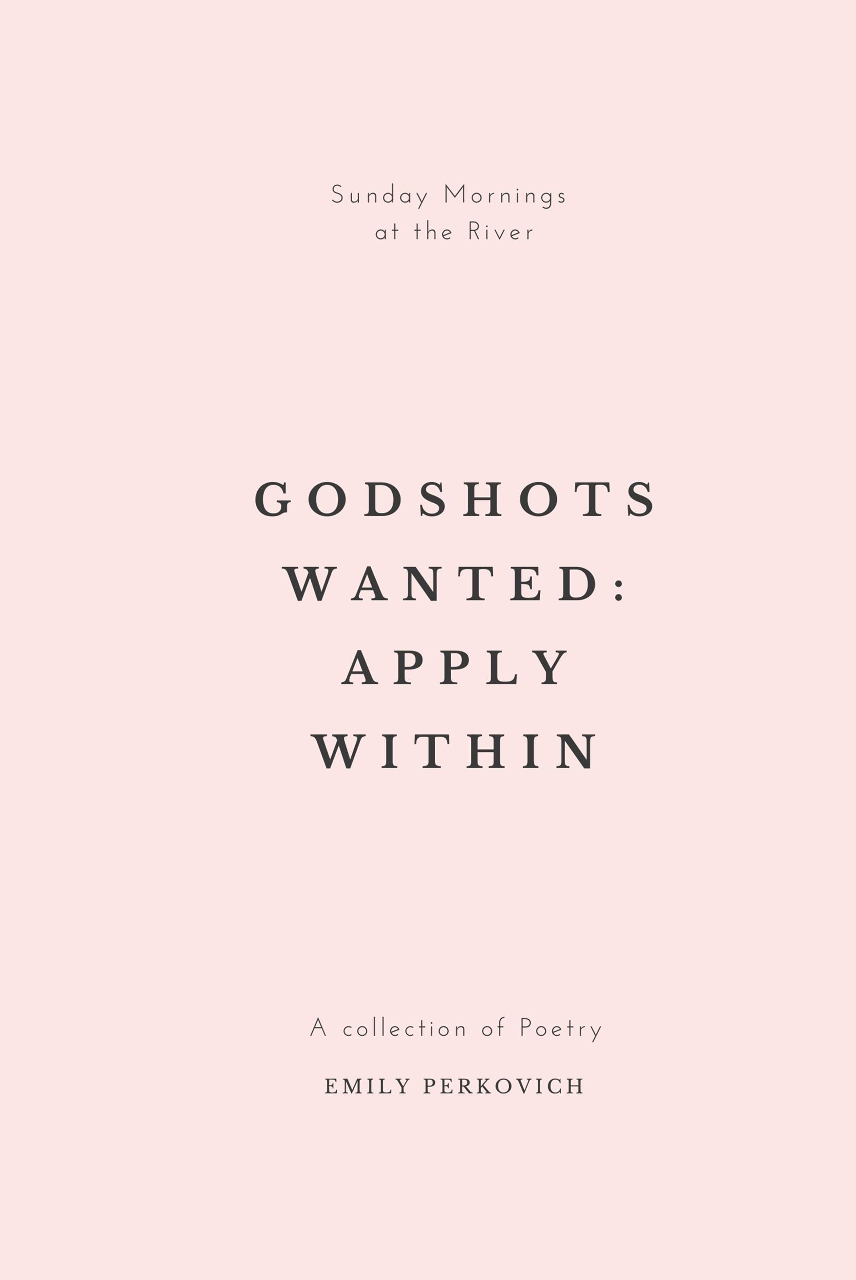 Book cover of Godshots Wanted: Apply Within by Emily Perkovich