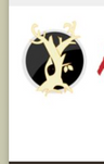 Midnight Echo logo