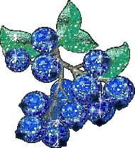 Cover of Blueberry Magazine